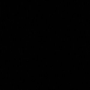 Meet your Posher, Brody